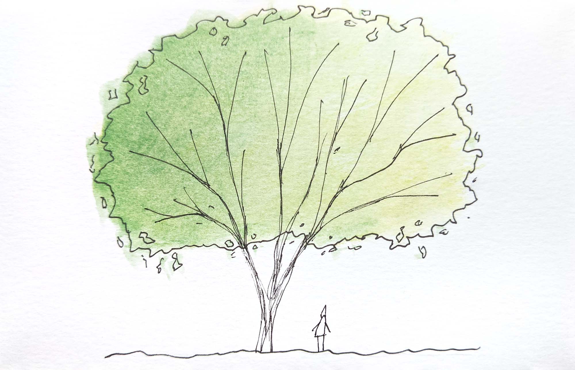 Postcard Horizontal 4