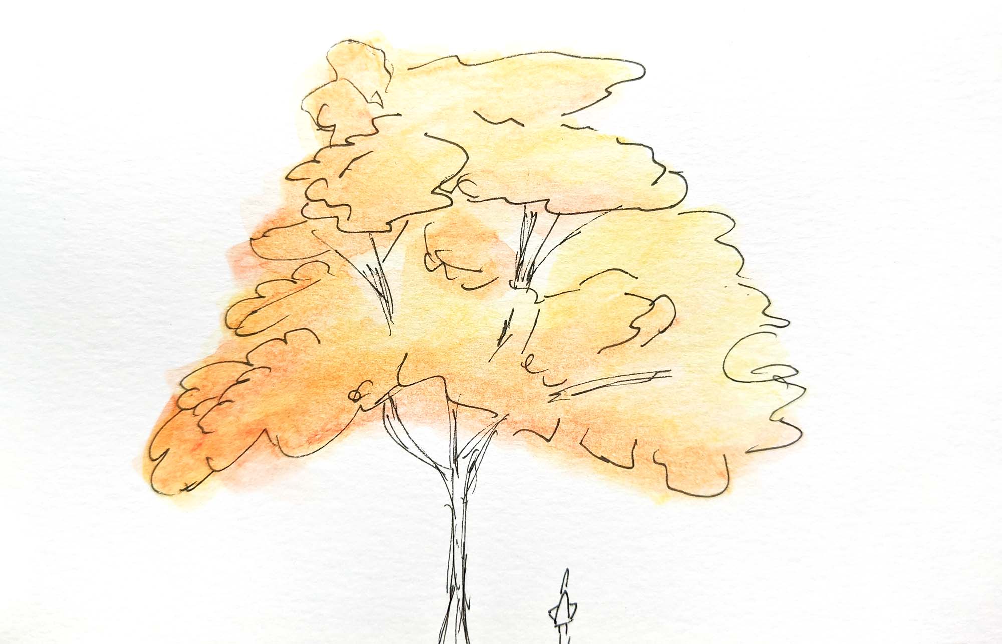 Postcard Horizontal 5